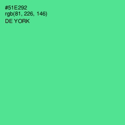 #51E292 - De York Color Image